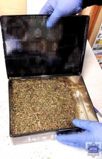 susz marihuany w pudełku metalowym